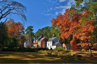 Weymouth Woods - Sandhills Nature Preserve